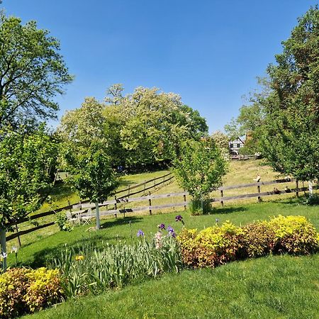 Gite Terre D'Helene 4 A 5 Pers Proche Strasbourg 42 M2, 3 Etoiles, Wifi, Paisible, Jardin, Proche Commerces,16 Atouts, Animaux Acceptes Berstett Exteriér fotografie
