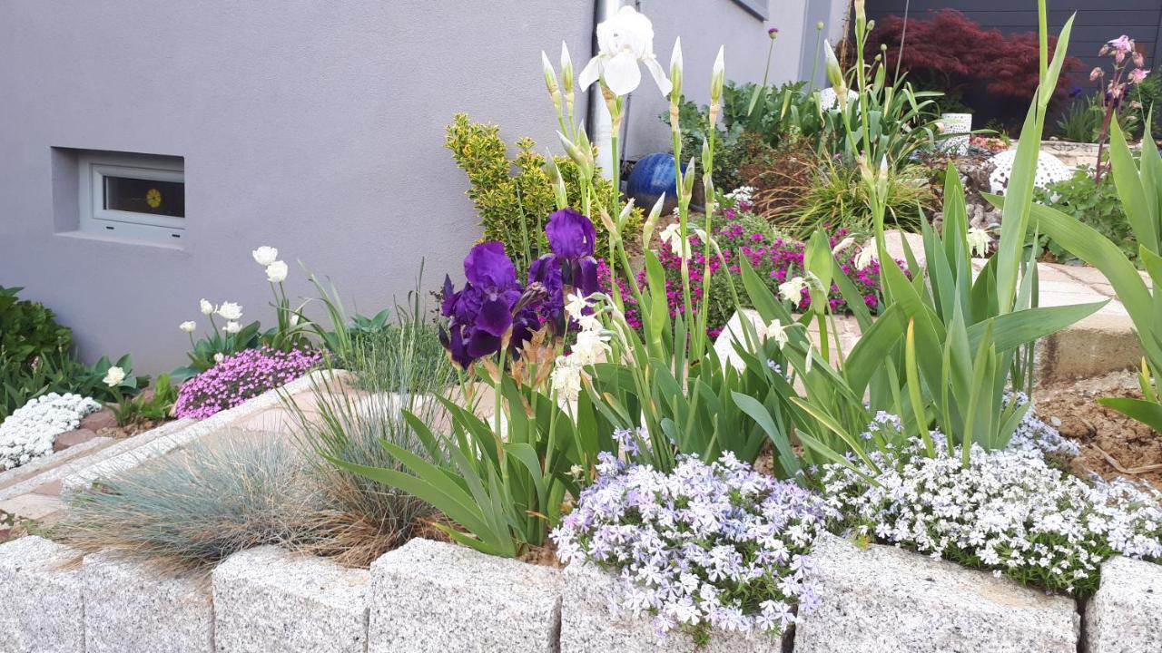 Gite Terre D'Helene 4 A 5 Pers Proche Strasbourg 42 M2, 3 Etoiles, Wifi, Paisible, Jardin, Proche Commerces,16 Atouts, Animaux Acceptes Berstett Exteriér fotografie