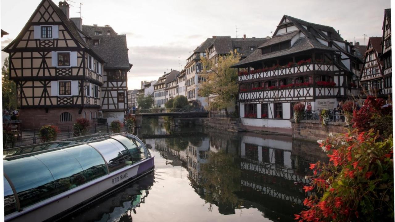 Gite Terre D'Helene 4 A 5 Pers Proche Strasbourg 42 M2, 3 Etoiles, Wifi, Paisible, Jardin, Proche Commerces,16 Atouts, Animaux Acceptes Berstett Exteriér fotografie